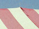 Catie Olson, Firecracker, Color print, 2005